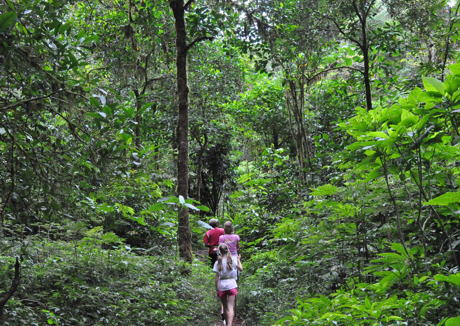 activities-trekking